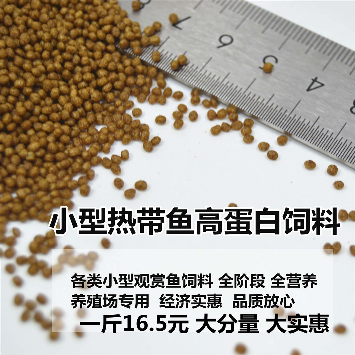 小型热带鱼饲料斗鱼料孔雀迷你鹦鹉鱼食小颗粒灯科增色鱼苗开口粮