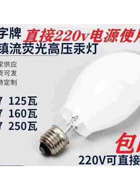 自整流高压汞灯船用灯泡户外照明大功率抓虫诱虫防水防爆E27螺口