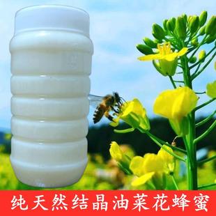 2024年纯正油菜花蜂蜜油菜蜜天然农家自产结晶油菜花蜜成熟蜜春蜜