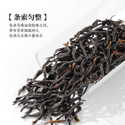 陈一凡茶叶鸭屎香凤凰单枞特级蜜兰香正宗潮州高山老枞乌龙茶罐装