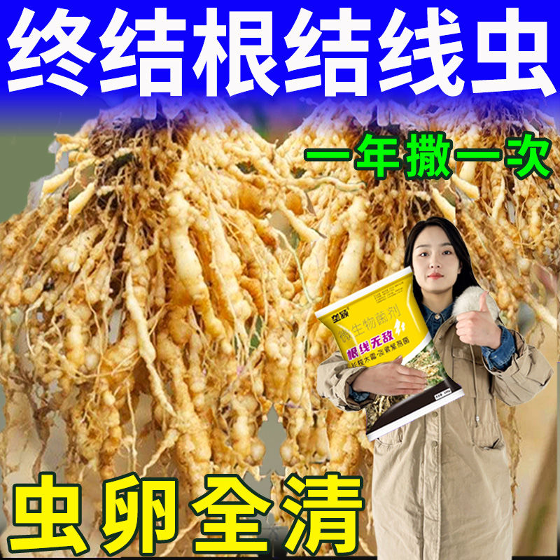 农用根结线虫专药淡紫孢菌
