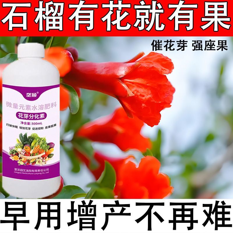 花芽分化素催促叶面肥多果
