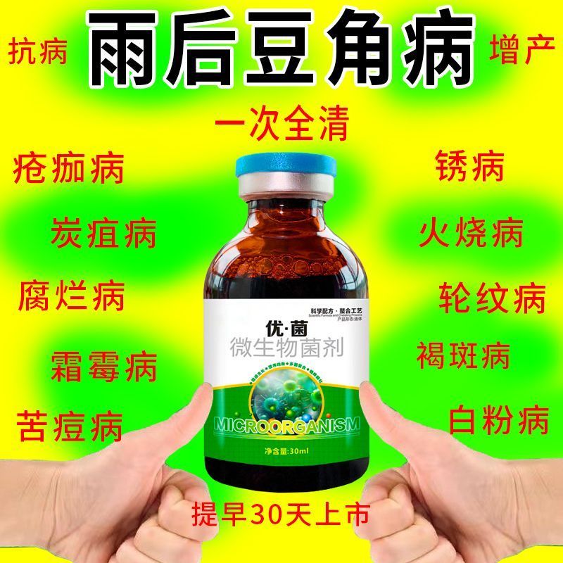豆角病全治雨后叶斑锈枯萎