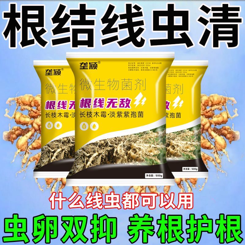 农用根结线虫专药淡紫孢菌