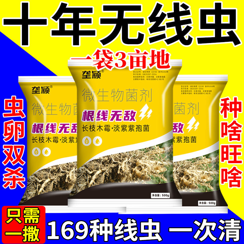 农用根结线虫专药淡紫孢菌