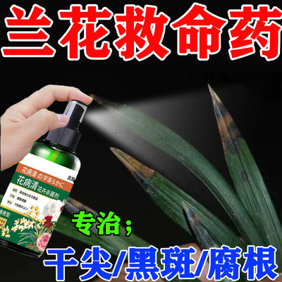 兰花软腐病黑斑病专用杀菌剂兰花杀菌剂真菌细菌病毒病全治杀菌剂