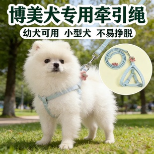 博美犬专用胸背牵引绳小型犬幼犬小体防挣脱遛狗链子防脱宠物用品