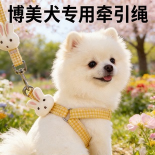 博美犬专用 Y 字型牵引绳小体小型犬幼犬耐咬外出狗牵引绳遛狗绳