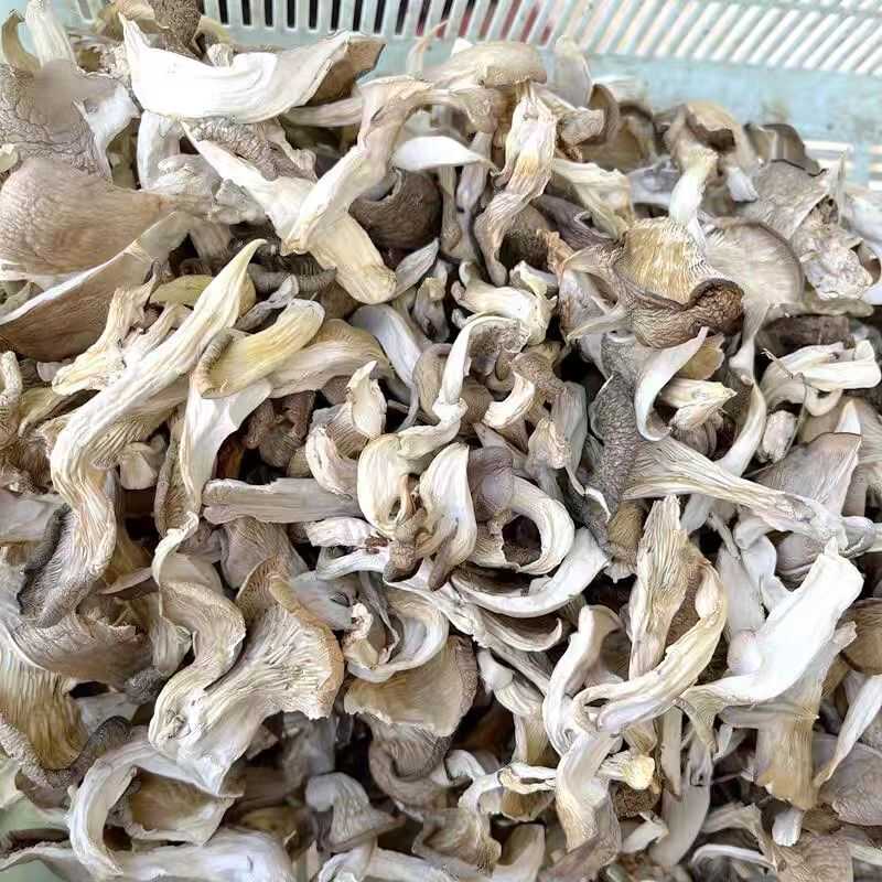 油炸新鲜云南特产黑白平菇