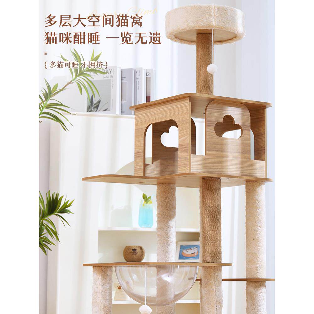猫爬架猫窝猫树一体架小型猫猫跳台太空舱不占地猫具玩猫爬猫套装