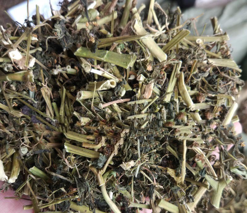 中药材龙葵 龙葵草 水洗干净500克包邮