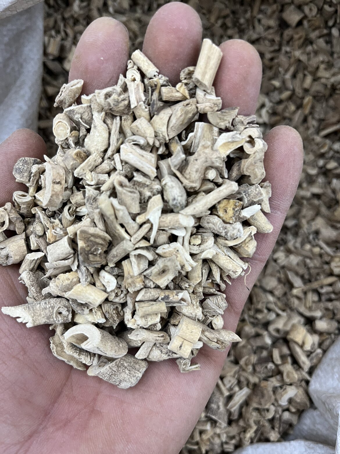 中药材白鲜皮 白癣皮 北鲜皮 包邮