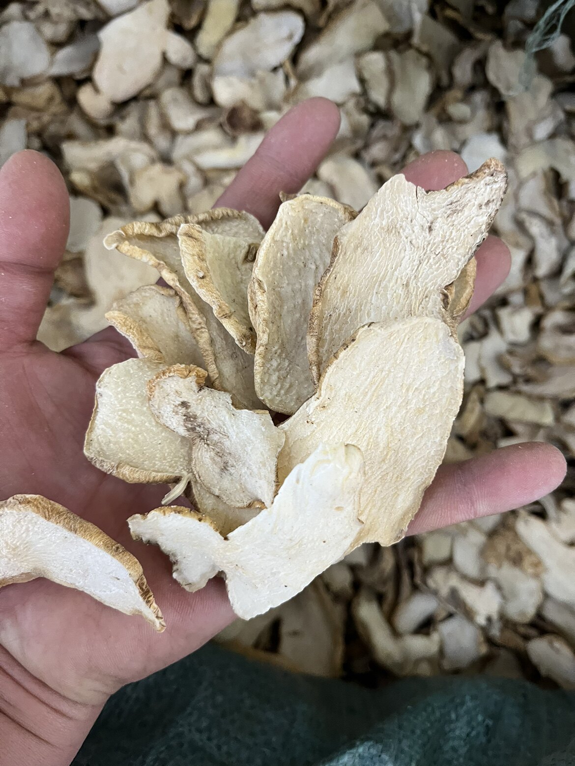 中药材黄精 正品无硫黄精片 生黄精片500g包邮