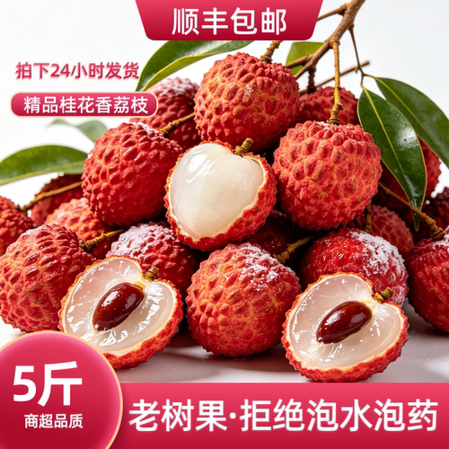 海南桂花香荔枝新鲜水果现摘现发妃子特大果笑孕妇礼盒5顺丰空运