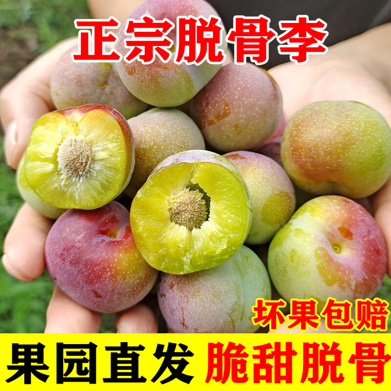 正宗四川脱骨李子新鲜青脆李子脆红李子凤凰五月脆水果半边红李子