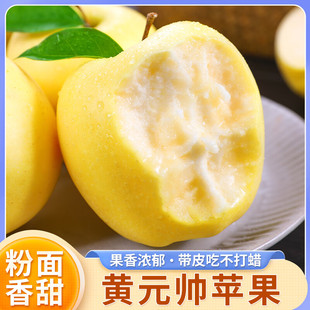 正宗黄元帅苹果宝宝刮泥粉面香甜元帅金冠苹果应季黄香黄金帅苹果