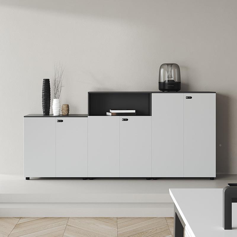 W-04公办室文件柜资料案柜密码公锁柜子储物柜简档约组合办柜地柜