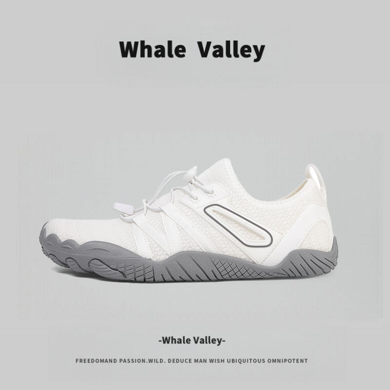 【1万+人种草】WhaleValley