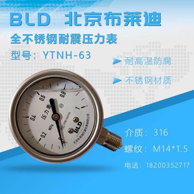 速发BLD北京布莱迪压力表YTH-压 全不锈钢 震6力表耐径向 M14*1.5
