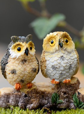 速发迷你猫头鹰老鹰肉景观多微摆件造景装饰品材料小动物配件