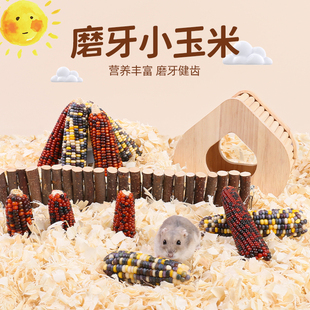 速发仓鼠磨牙棒粮食面食玉米棒过冬粮食零季金丝熊冬包虫造景用品