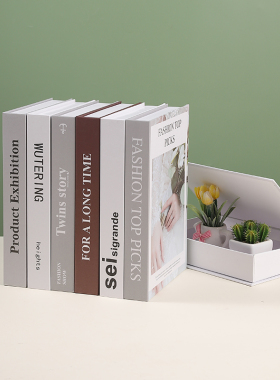 速发磁吸书收纳盒假件书柜摆书模型拍摄装饰道具摆设