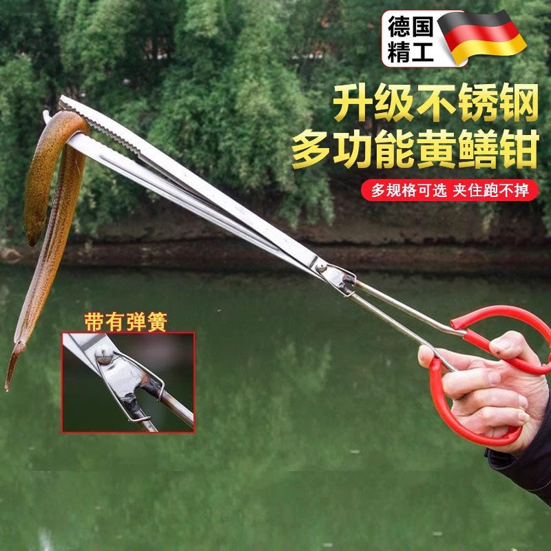 速发不锈钢黄鳝夹子新控加厚防蟹螃滑钳款鱼器捡垃圾夹子赶海工具