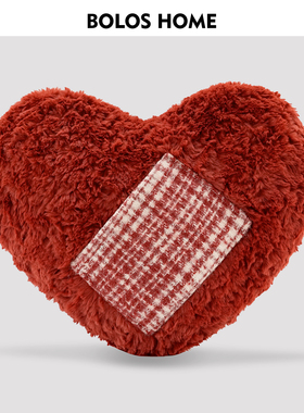 柏洛斯Blaze『心焰』高级感样爱心抱枕靠枕客厅沙发靠垫卧室酒店
