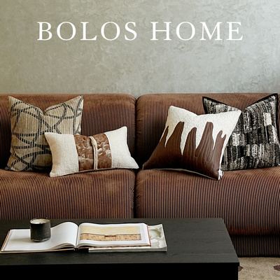 柏洛斯Modernity高端现代简约客厅沙发抱枕组合样板间定制腰靠垫