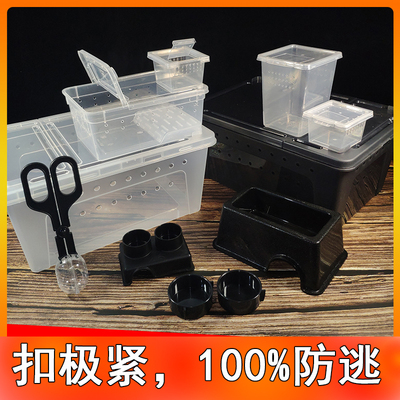爬宠饲养盒通用款批发