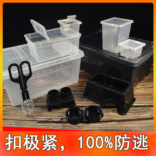 爬宠饲养盒通用款批发