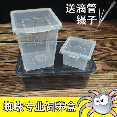 春不打烊一爬虫饲养盒