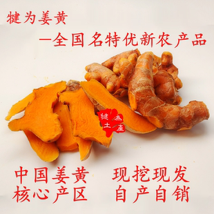 四川乐山犍为姜黄 新鲜姜黄 咖喱原料 姜黄种子 产地直发道地药材