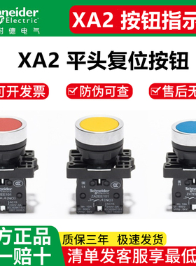 施耐德XA2平头复位按钮XA2AA31 XA2AA41 XA2AA51 XA2AA42 XA2AA45