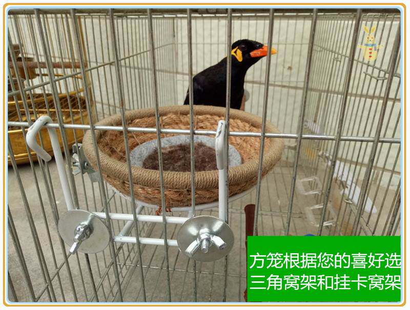 鸟窝鸟巢八哥鸟窝鸟巢鹩哥鸟窝鸟巢斑鸠鸟窝蜡嘴鸟窝鸽子窝