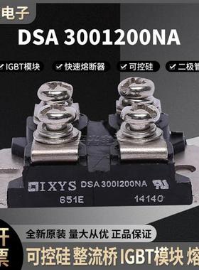 全新功率整流二极管模块 DSA300I200NA  低价直销 快速发货