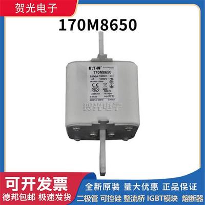 全新原装熔断器170M8642/8645/8646/8650 现货直销