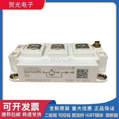 西门康 SKM300GAL12T4  SKM400GAL12T4可控硅模块 全新原装