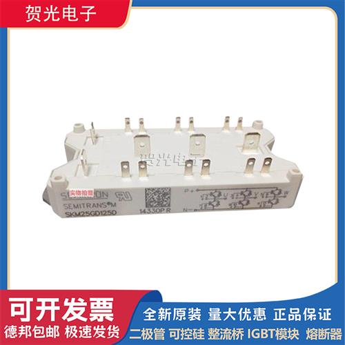 议价全新原装可控硅 IGBT模块 SKM25GD125D SKM25GAH125D