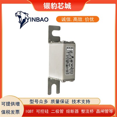 170M1568 170M1569 170M1570 170M1571 170M1572全新熔断器保险丝