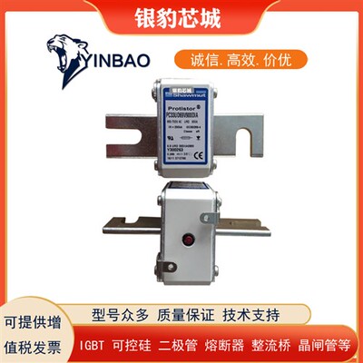 PC33UD69V1250TF D300084  PC33UD69V1400TF E300085熔断器现货