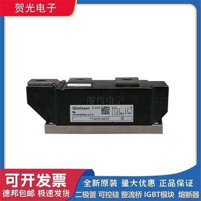 全新原装TT425N16KOF  DD600N16K 可控硅 功率模块二极管