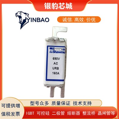 6,9GRB000BS88/063 Z301092 6,9GRB000BS88/080 S300097熔断器