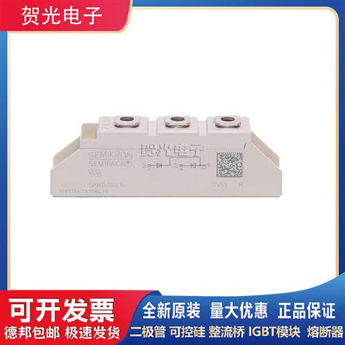 原装SKKD 100/18 西门康SKKD46/81/100-12-16-18功率可控模块