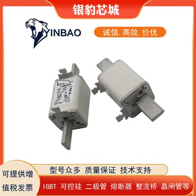 170M3951 170M3952 170M3953 170M3954 170M3955全新熔断器保险丝