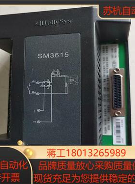 和利时模块SM3615