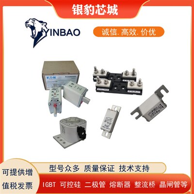 170M1558D 170M1559D 170M1560D 170M1561D 170M1562D全新熔断器