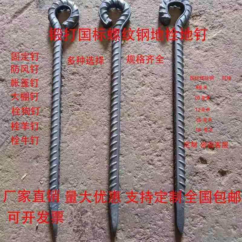加粗螺纹钢固定大棚地锚钉户外天幕帐篷地栓地钉狗桩钉拴牛羊马钉,五金/工具,钉,淘宝优惠券,粉丝福利购,淘宝优惠卷