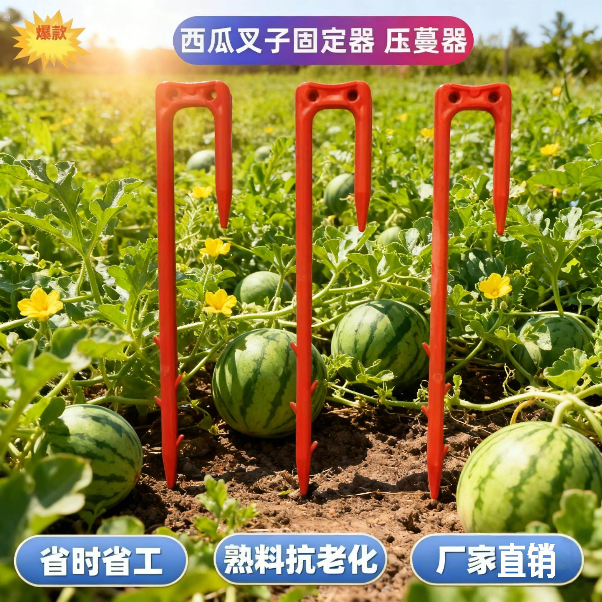 西瓜压蔓器叉子草莓育定苗甜瓜固定叉防风抗风生根藤蔓固定器神器,农机/农具/农膜,农用滴灌带,淘宝优惠券,粉丝福利购,淘宝优惠卷