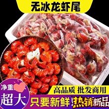 龙虾尾冷冻生鲜特级大单冻麻辣即食鲜活速冻商用虾球小龙虾